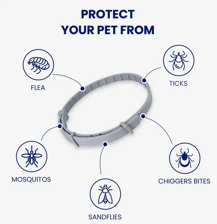 Dog Flea Collar